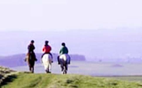 �ҌW�����T�R300������