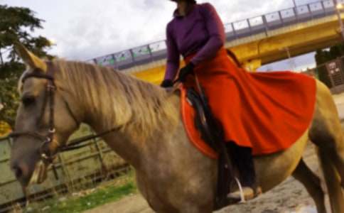 大草原騎馬作文(精選44篇)