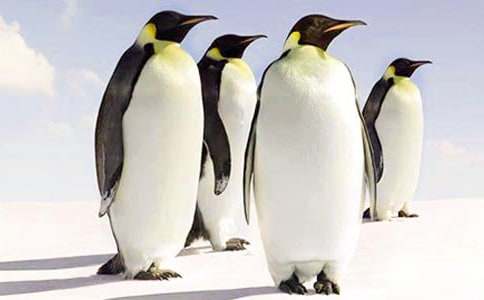 ���Z����400�֣�ͨ��22ƪ��