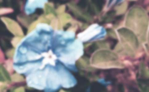 ��ţ������400��