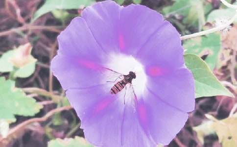 ���꼉���Ġ�ţ��100��