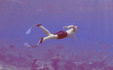 我學會了潛水六年級作文