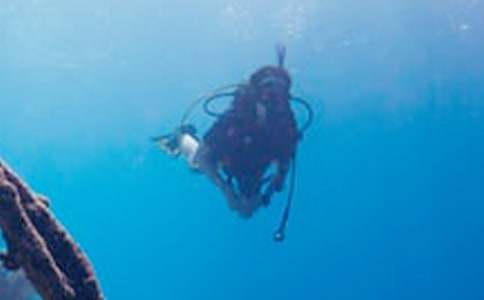 ��ˮͧС�W����