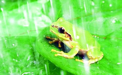 ����Ҫ���Ҹ��Ľ���Ԣ�Թ���