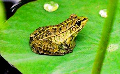 ������Ĕ�ʮ�fֻ����