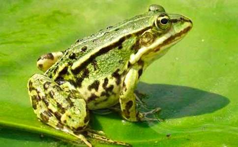 ���o���ܵĿ��D����