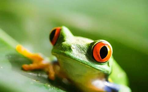 ͯԒ����֮�������׵�����