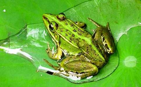 С����ͯԒ����(���\8ƪ)