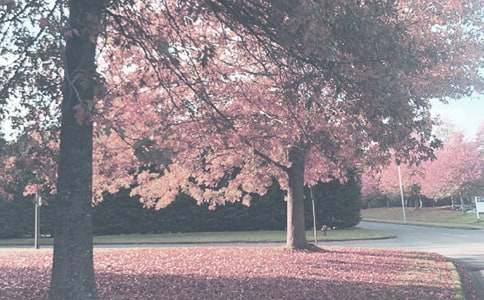 һ�������x�＾�����600������