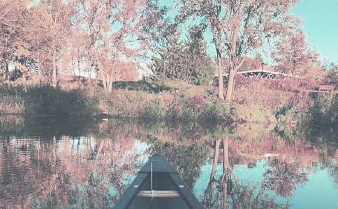 �P���＾���~�Z�R��