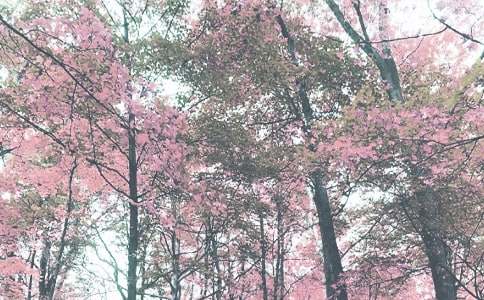 �����＾�¹���~�Z