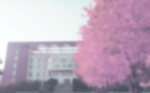 �＾��������