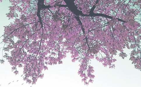 我愛秋季初二作文(精選22篇)