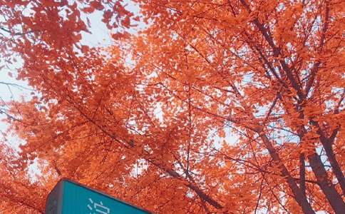 ����˽�Z��������