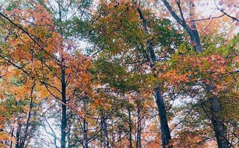 ����ꖹ�����500