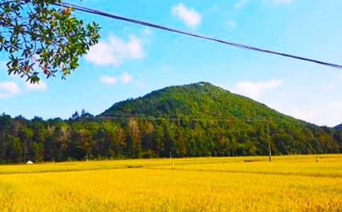 ��������400��5ƪ