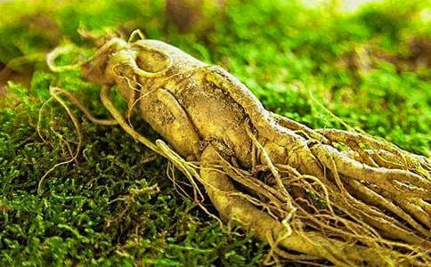 �����������е����������������˅��c