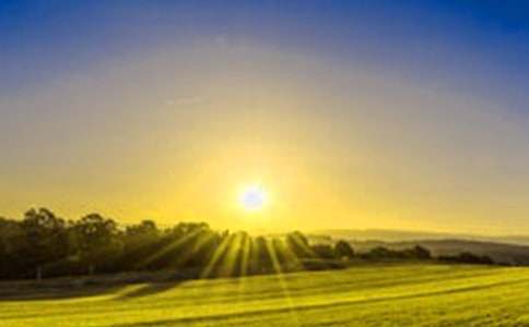 �Ґ��ճ���������