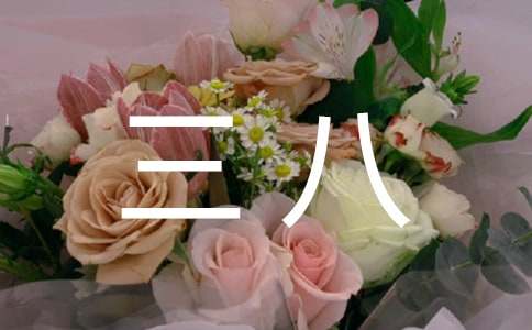 2017�̎����˼t�������M���E���]����