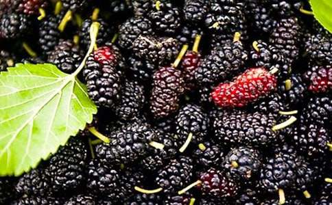 ���cɣ����Ҋ�r-�P��ɣ�ص�����600�� �߶����ķ���