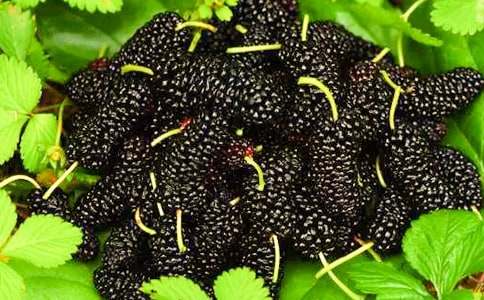 ժɣ�����꼉����