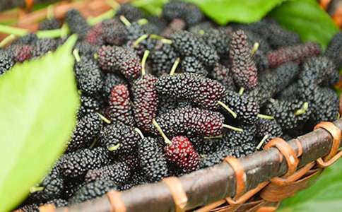 ժɣ�س�һ����