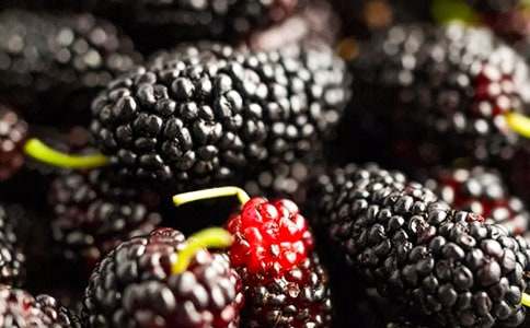 摘桑葚趣事作文