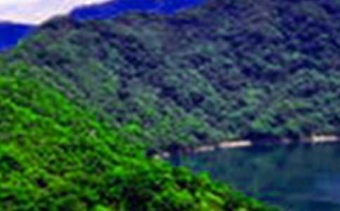 ���Pɽˮ��ӛ����