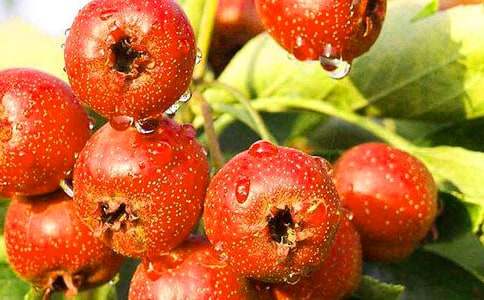 �茑ɽ高����ģ����x45ƪ��