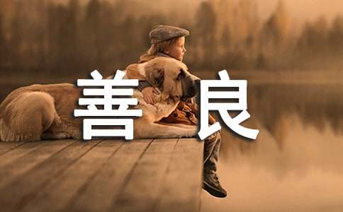 ������а��Ԣ�Թ���