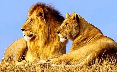 ͯԒ���ģ�С���ܴ�{��