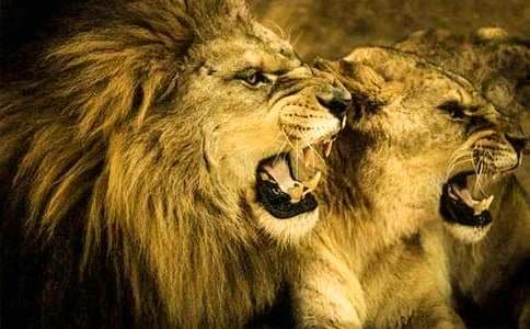 ���x�{��ͯԒ������ƪ