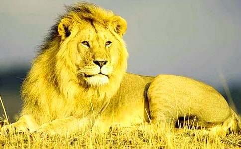 �����A���{��ͯԒ���ĺϼ���ƪ