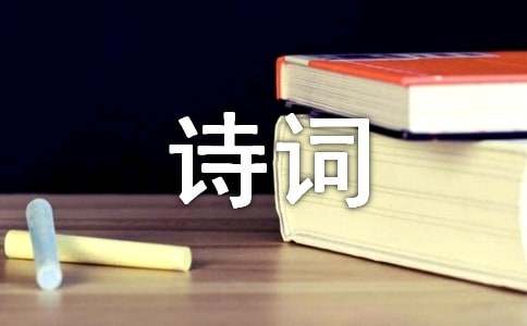 詩詞中的月光作文600字(精選46篇)