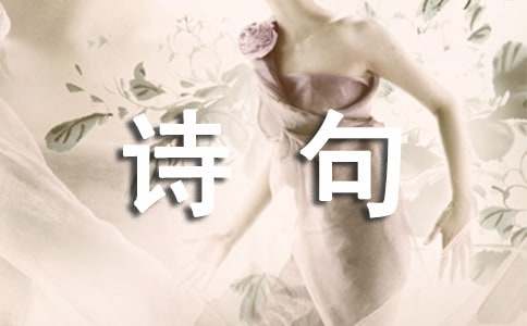 ���P�Ƶ�Ԋ����V�Z