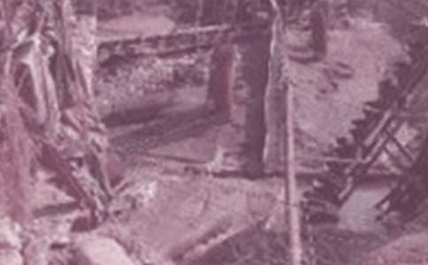 2014������ʯ�ʹ�W����