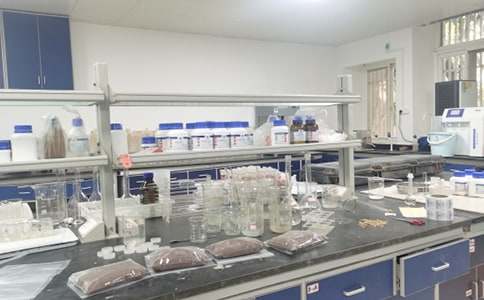 2016���M����҃������ķ���