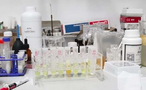 走進實驗室征文范文