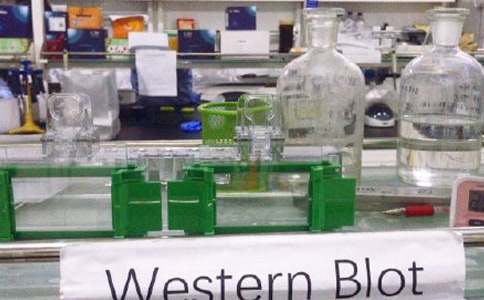 ����Ҍ���ĵ��w��