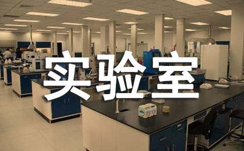 С�W����Ұ�ȫ�z���Բ��棨���x12ƪ��