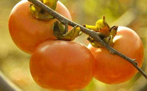 ��������400�־�ƪ