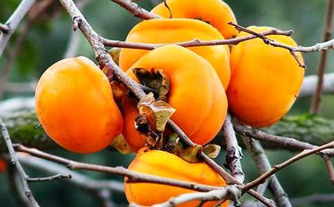 �茑���ӵ�����300�֣����x47ƪ��