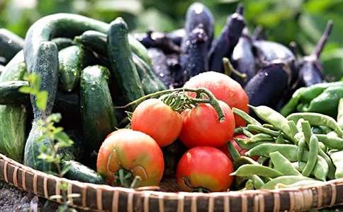 高中高三作文1000字:未來蔬菜