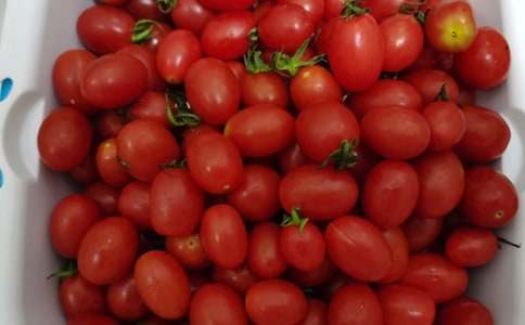 我喜歡吃水果作文7篇