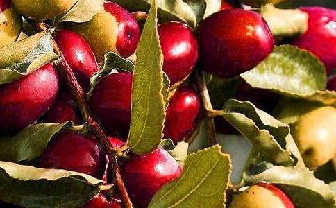 ���Pˮ�������ľ��x