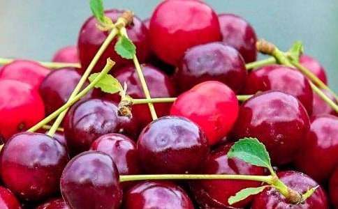 �Iˮ����С�W�����ģ�ͨ��36ƪ��