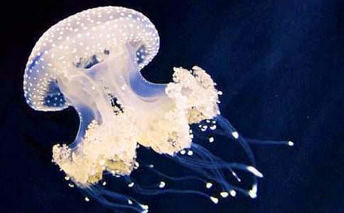 ˮĸ����400�ְ�ƪ