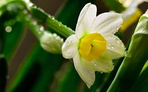 ���l��ˮ��_800��-��������500��