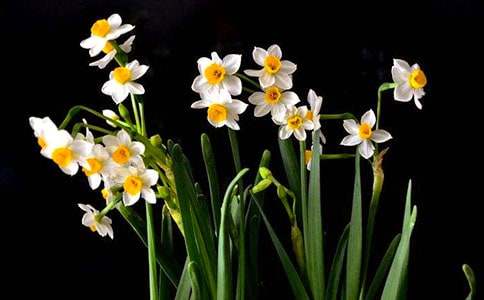 ˮ������800��