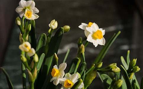 �����x��ˮ������600��3ƪ